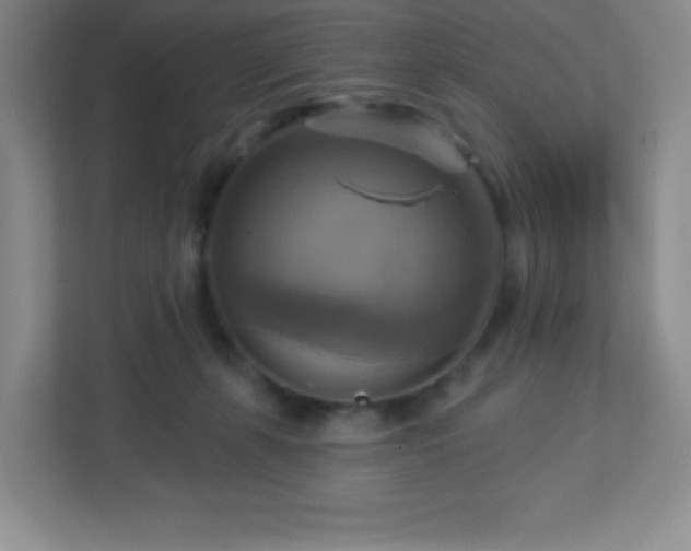 X0000113050271200909031338