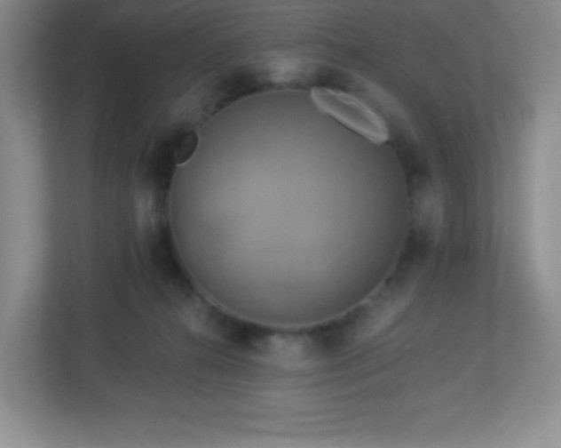 X0000113050272200909031338