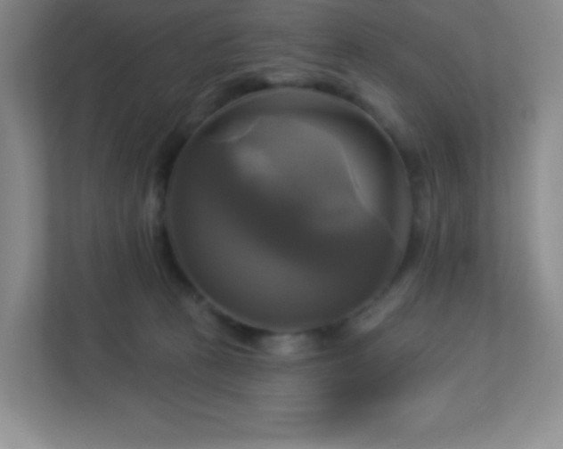 X0000113050273200909031338