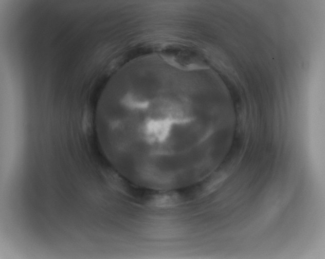 X0000113050274200909031338