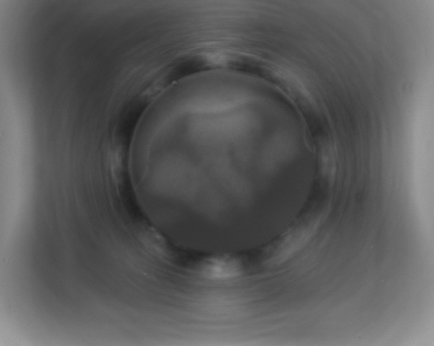 X0000113050275200909031338