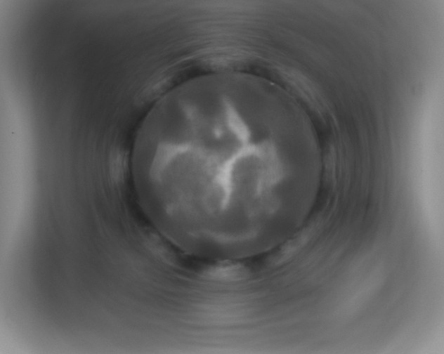 X0000113050278200909031338