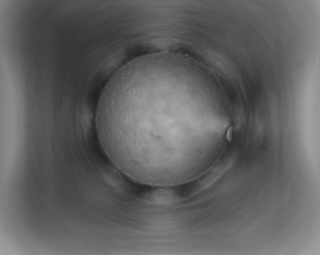 X0000113050279200909031338