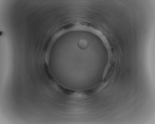 X0000113050280200909031338