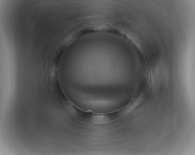 X0000113050281200909031338