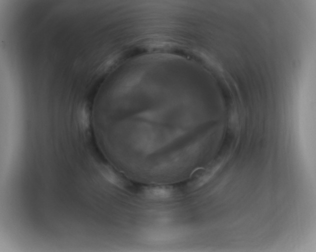 X0000113050282200909031338