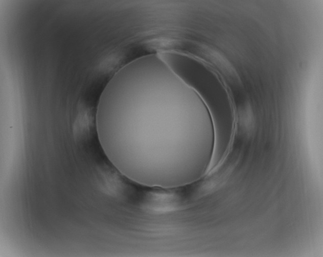 X0000113050284200909031338