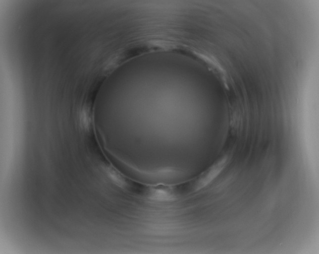 X0000113050285200909031338