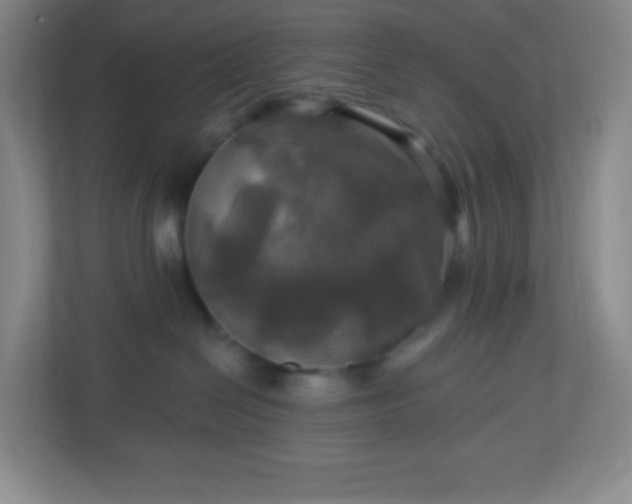 X0000113050286200909031338