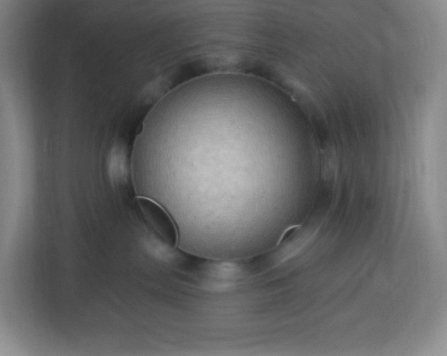 X0000113050287200909031338