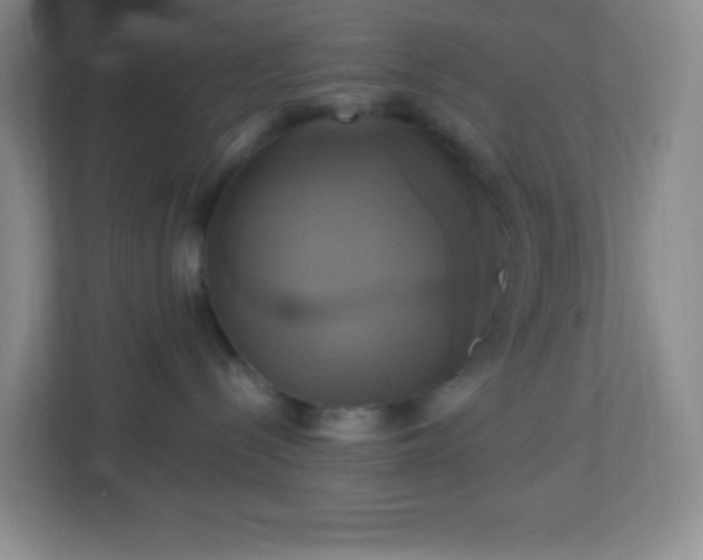 X0000113050288200909031338