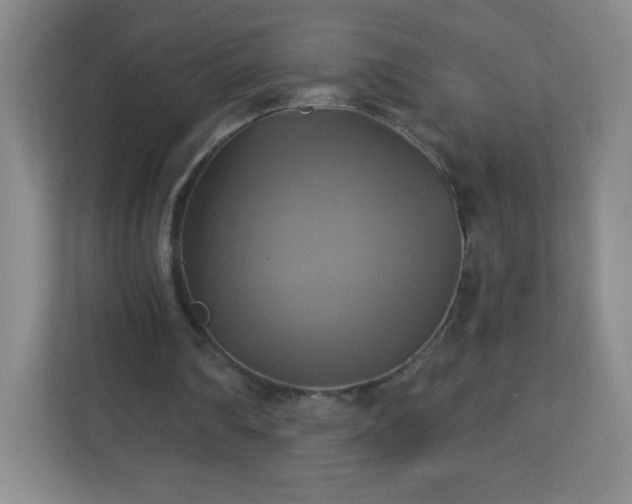 X0000113050290200909031337