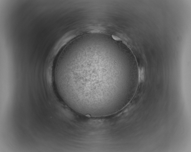 X0000113050291200909031337