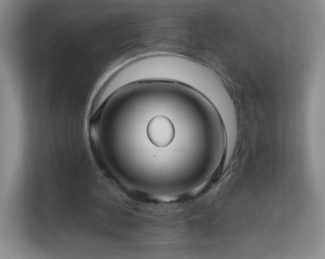 X0000113050292200909031337