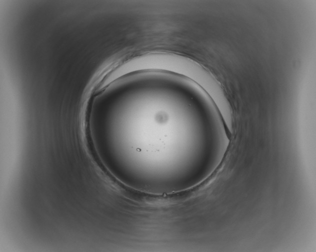 X0000113050293200909031337