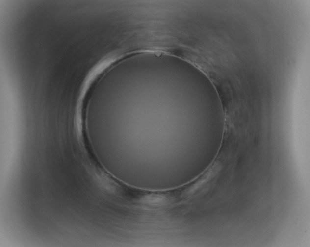 X0000113050294200909031337