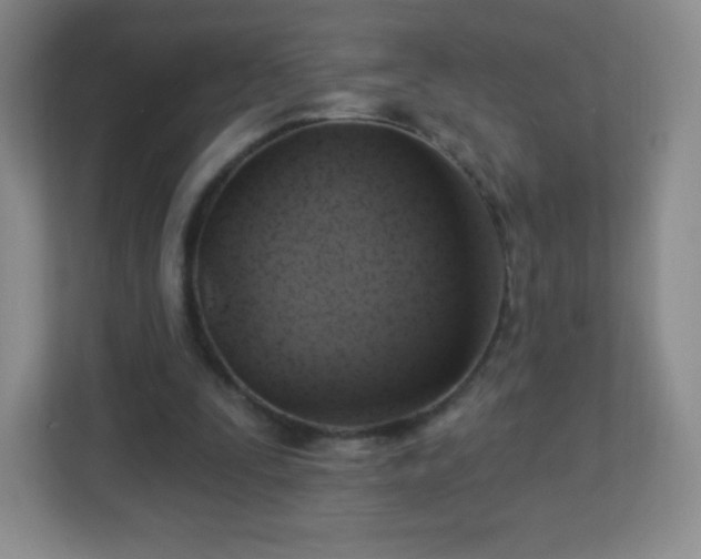 X0000113050295200909031337