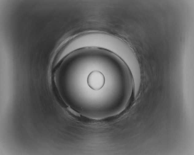 X0000113050296200909031337