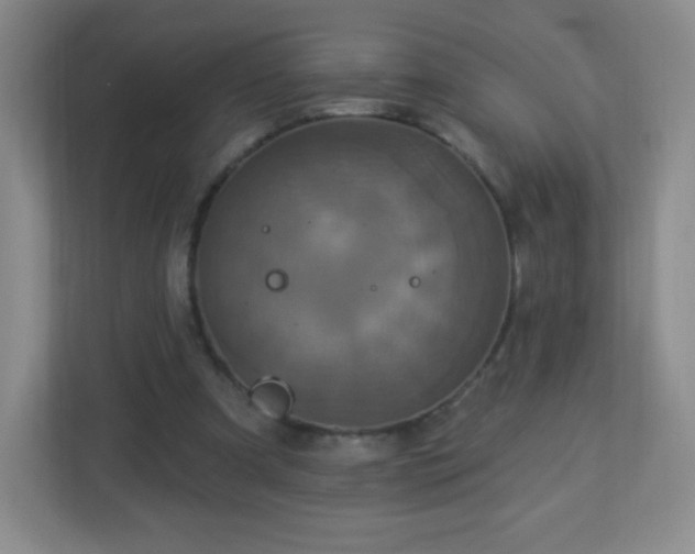 X0000113050297200909031337