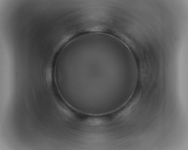 X0000113050299200909031337