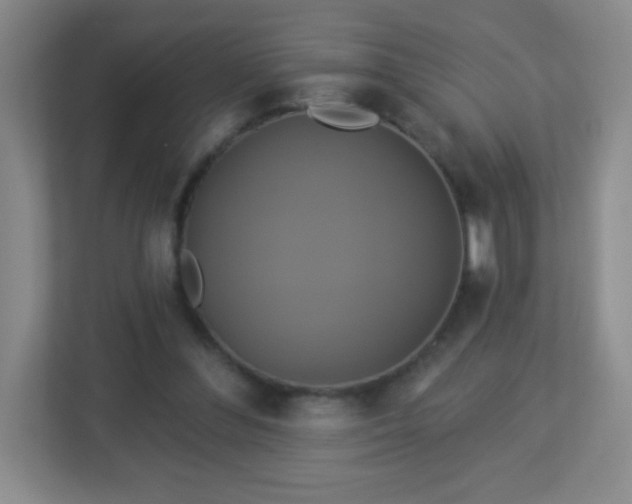 X0000113050300200909031337