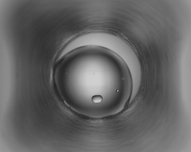 X0000113050301200909031337