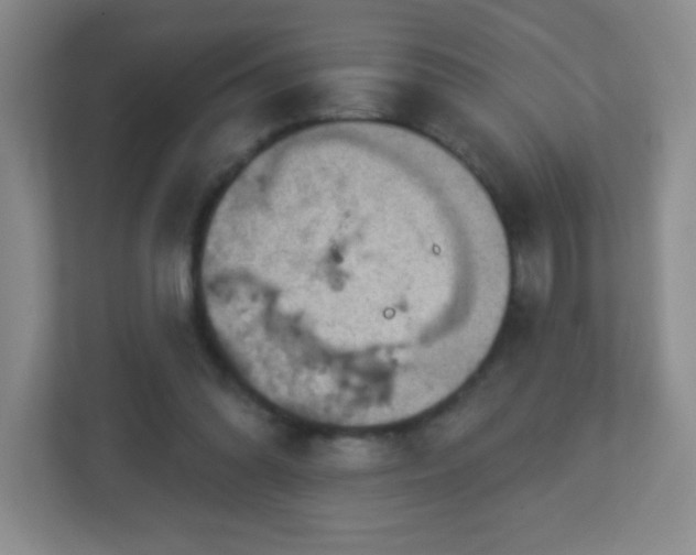 X0000113050302200909031337