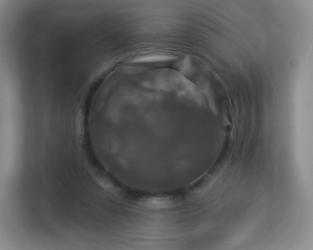 X0000113050303200909031337