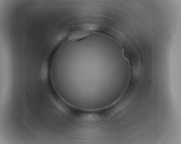 X0000113050304200909031337