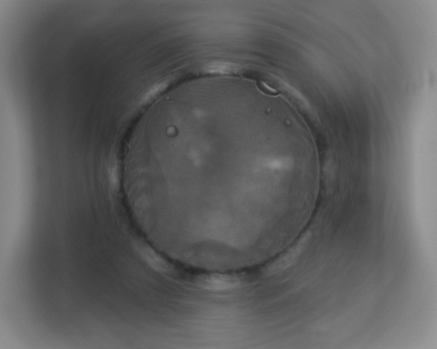 X0000113050305200909031337