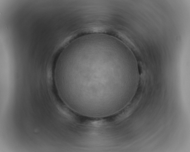 X0000113050306200909031337