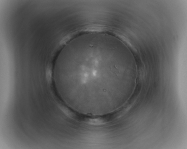 X0000113050309200909031337