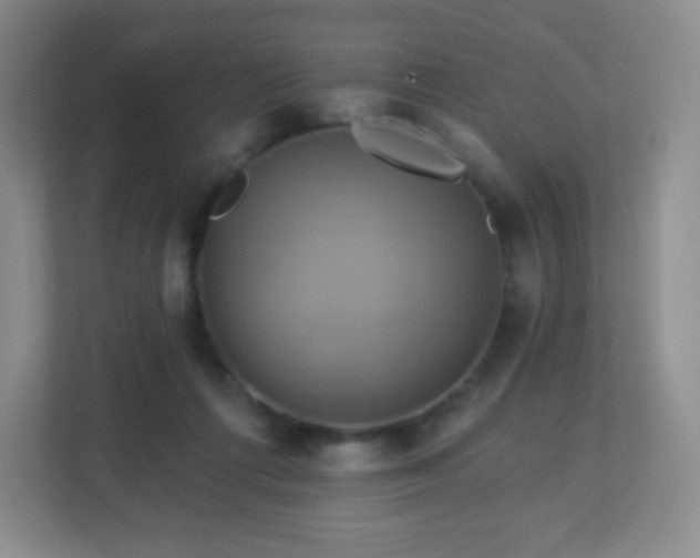 X0000113050312200909031337