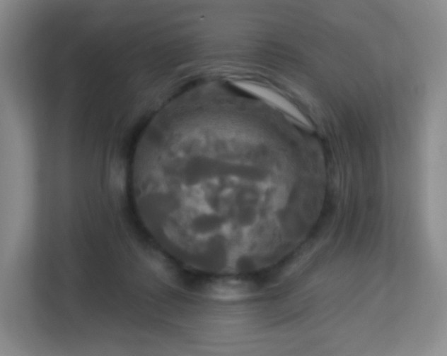 X0000113050315200909031337