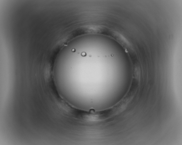 X0000113050318200909031337