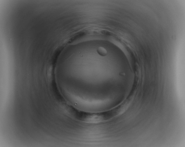 X0000113050319200909031337