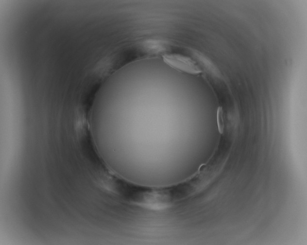 X0000113050320200909031337