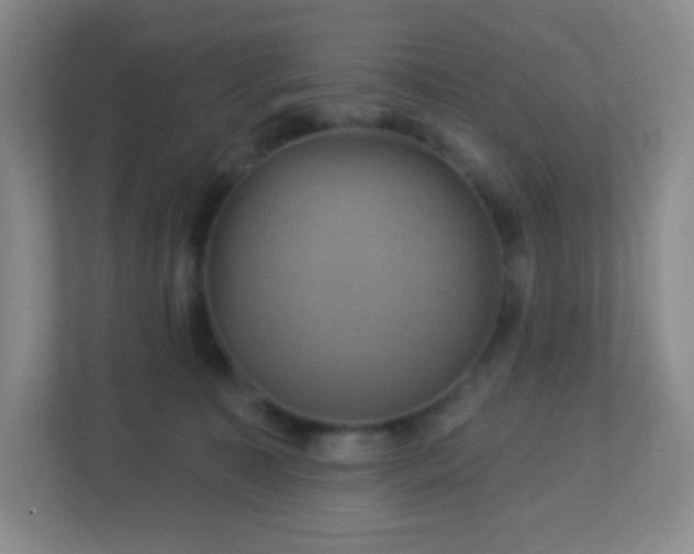 X0000113050323200909031337