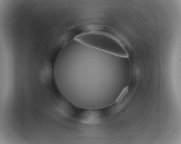 X0000113050328200909031337