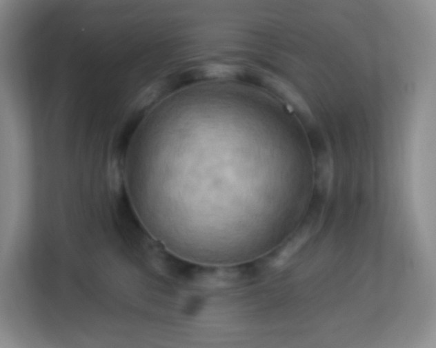 X0000113050329200909031337