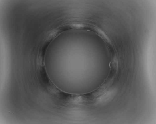 X0000113050330200909031337