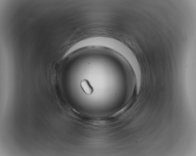 X0000113050332200909031337