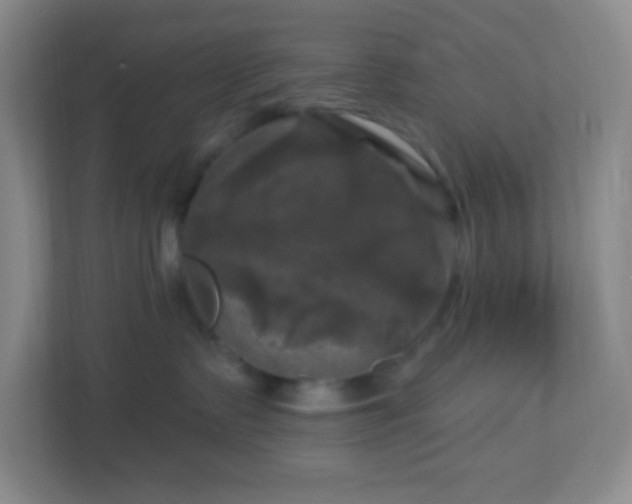 X0000113050335200909031337