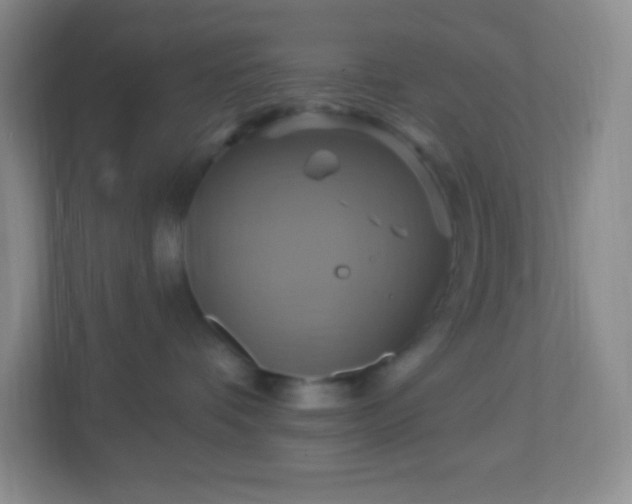 X0000113050336200909031337