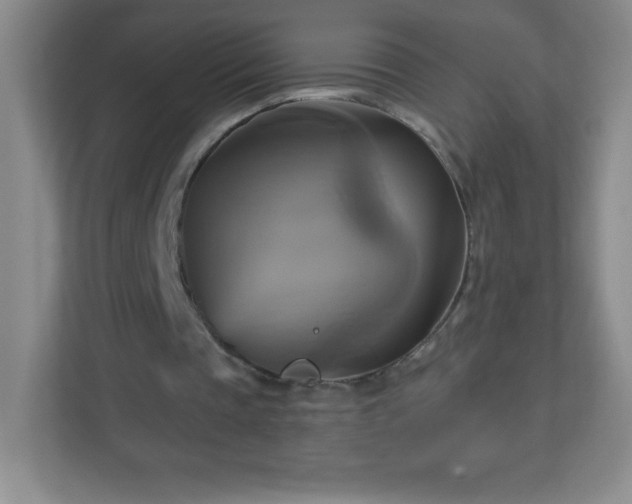 X0000113050337200909031336