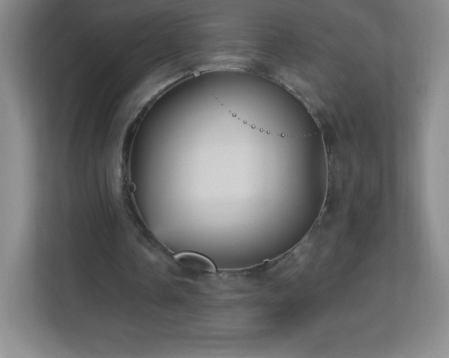 X0000113050338200909031336