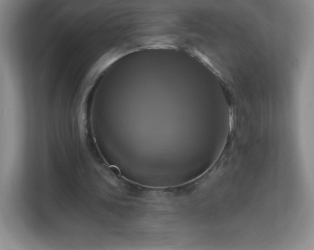 X0000113050339200909031336