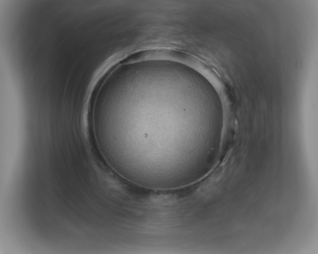 X0000113050340200909031336