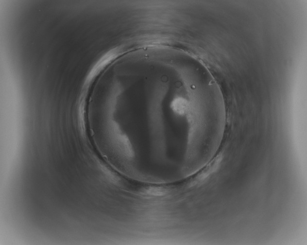 X0000113050341200909031336