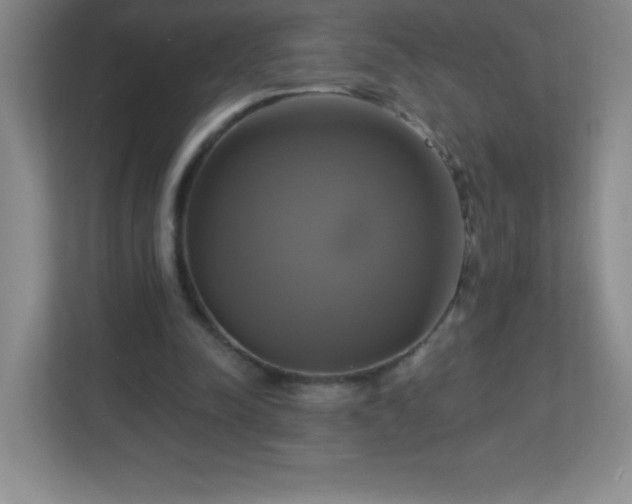 X0000113050342200909031336